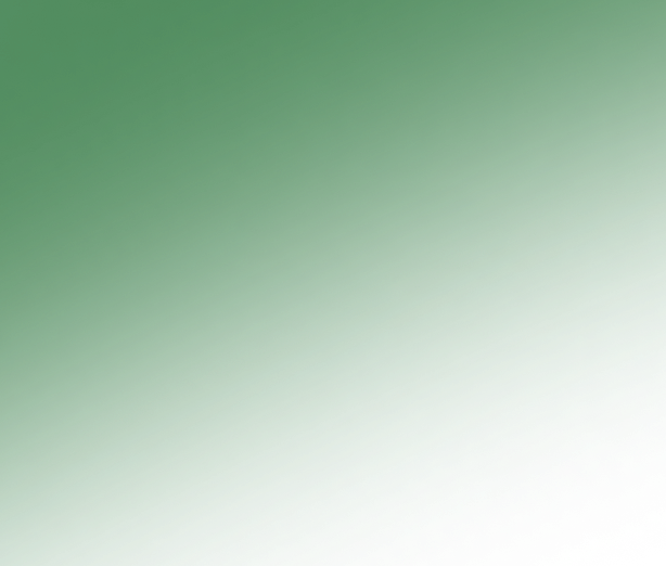Footer Background